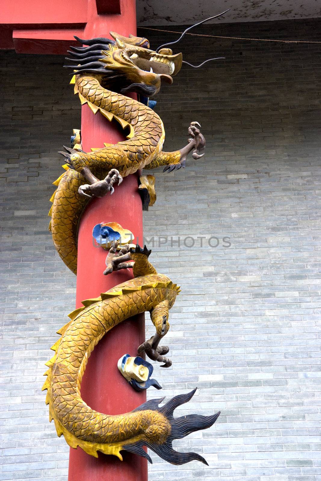 Dragon at Chinese Temple Entrance by shariffc