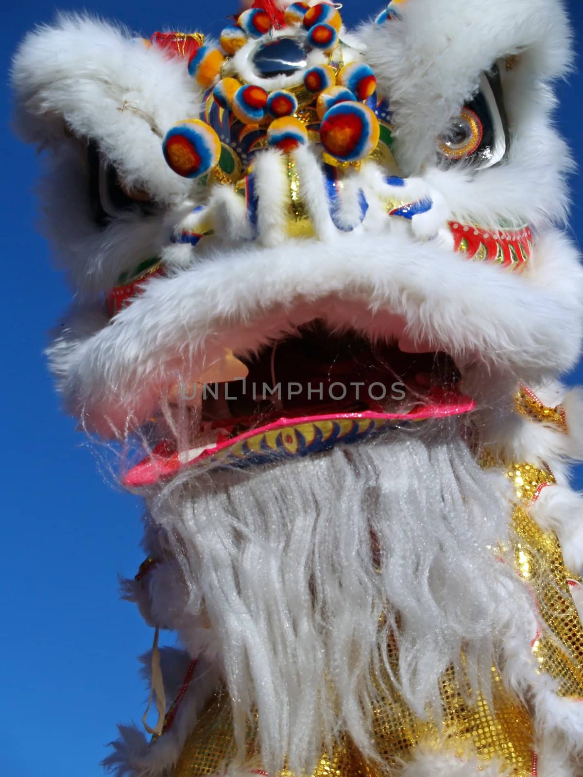 Dragon at a chinese new year celebration