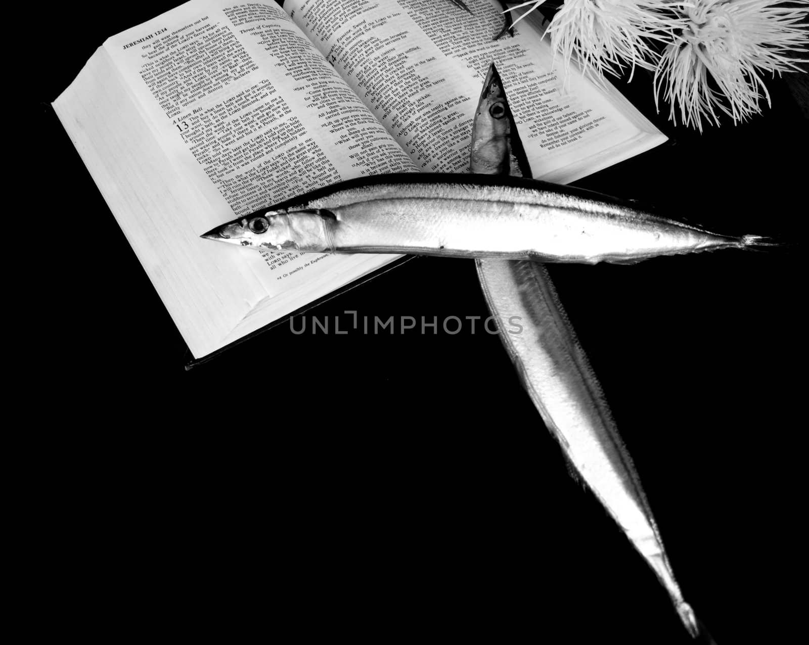 Conceptual image of two fish (Macarol) in the shape of a cross on a bible.