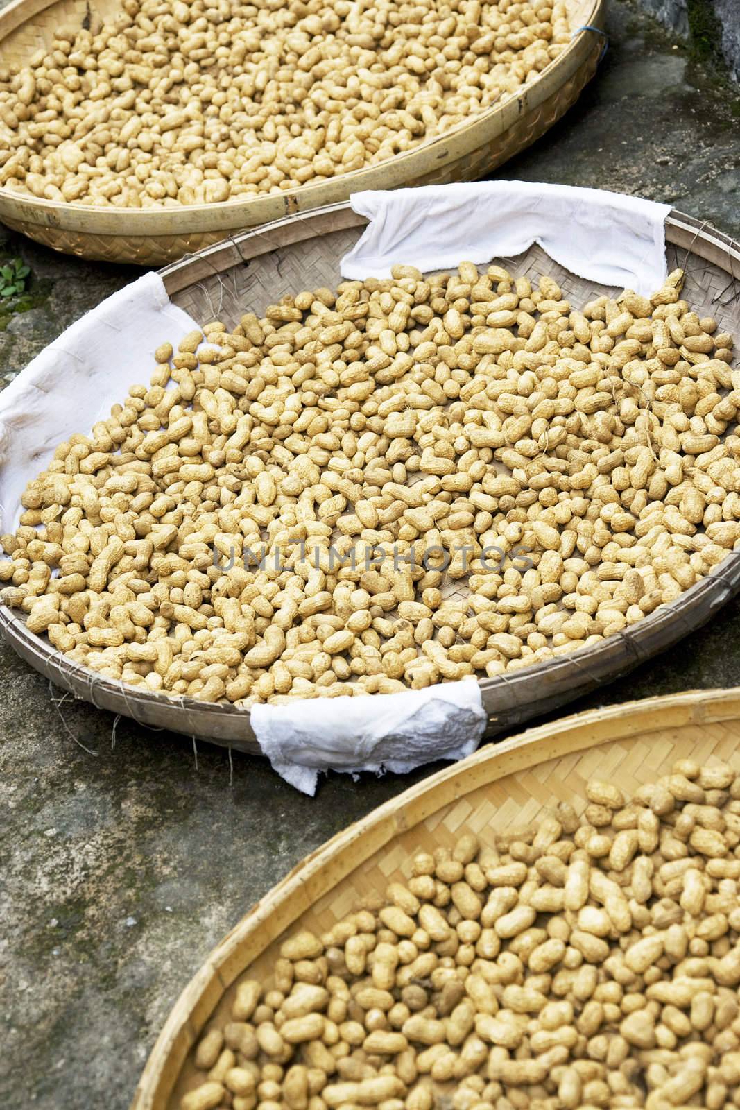 Image of groundnuts being dried at Guilin, China.