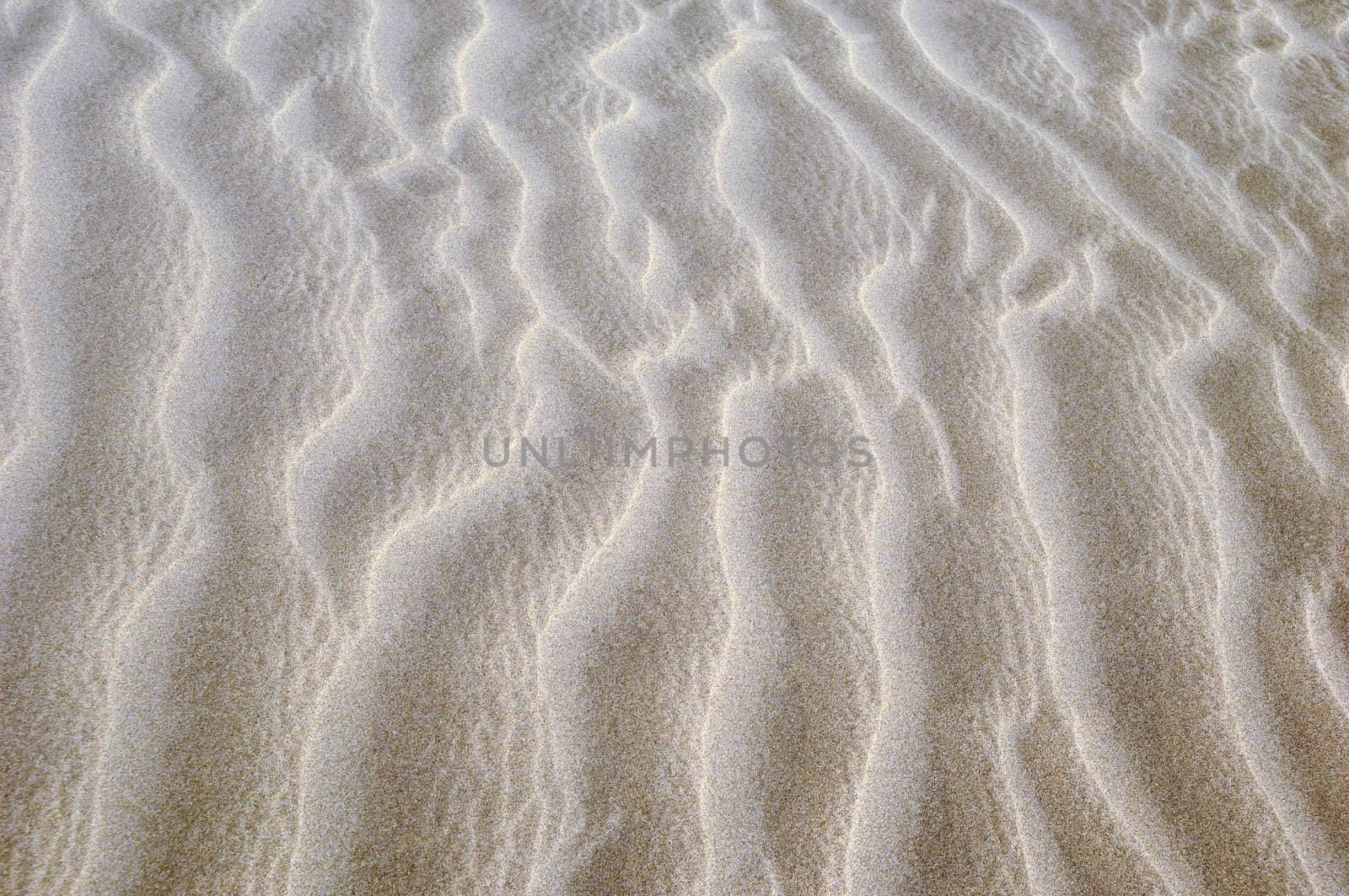 wave pattern background in the sand