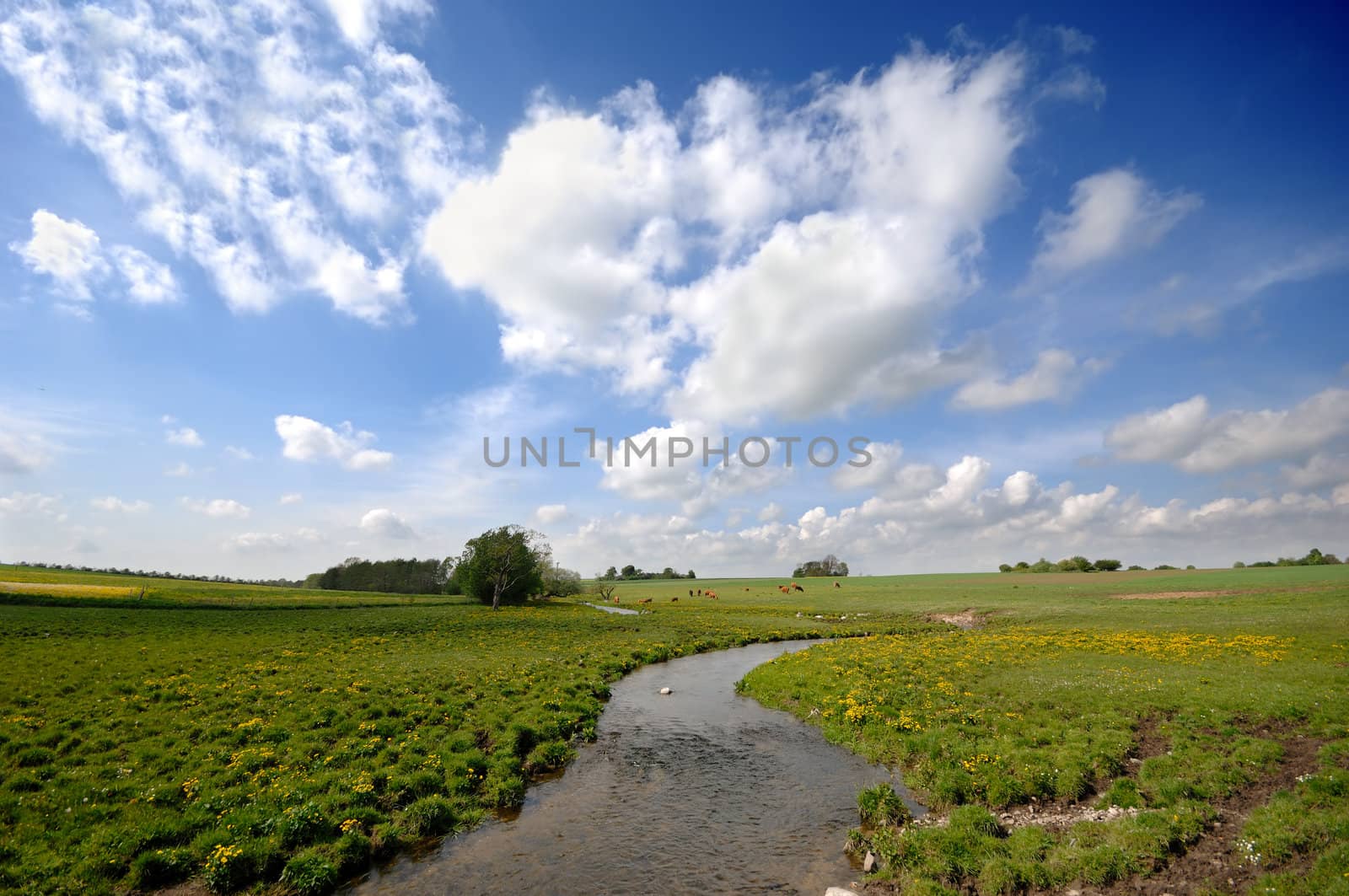 Small river, framland and blue and cloudy sky.