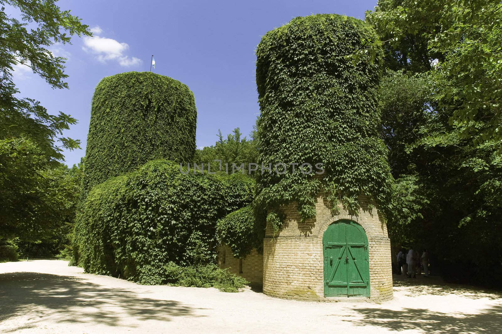 Water tower covered with green leaves