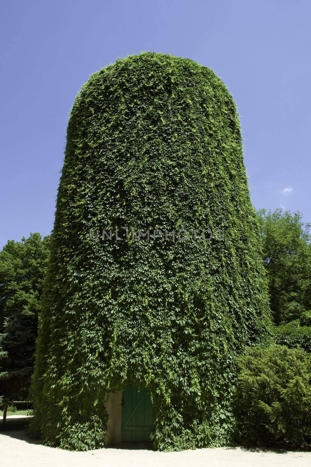 Water tower covered with green leaves
