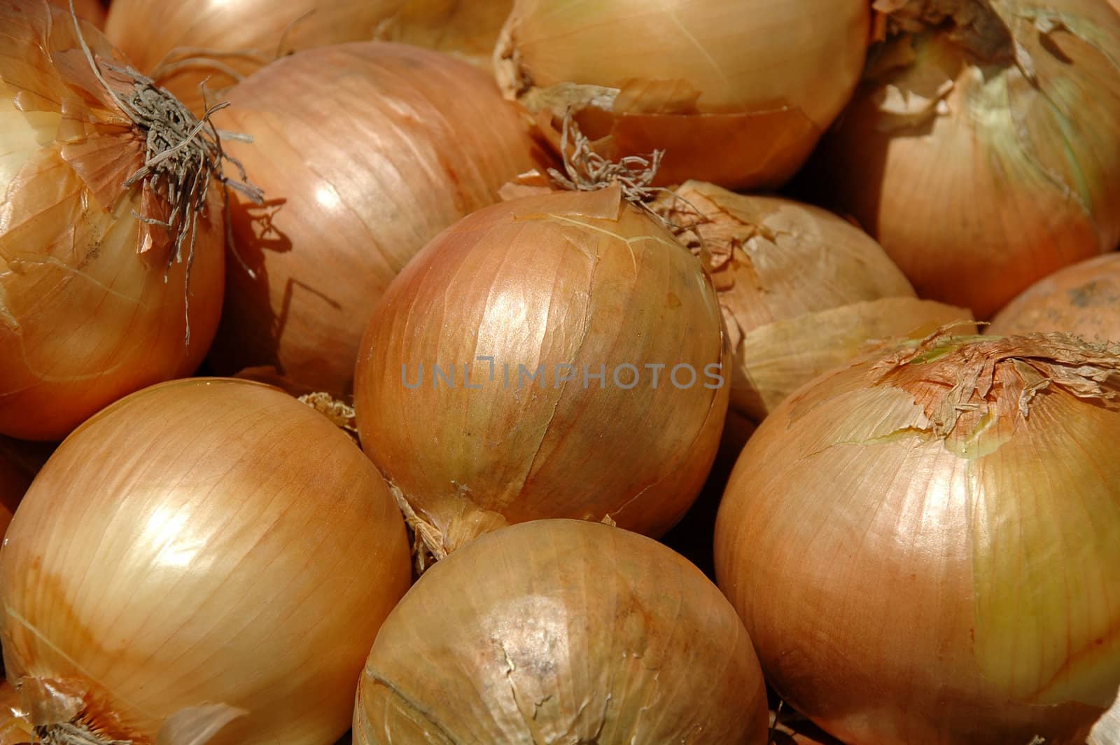 Many onions. Taken at a market place.