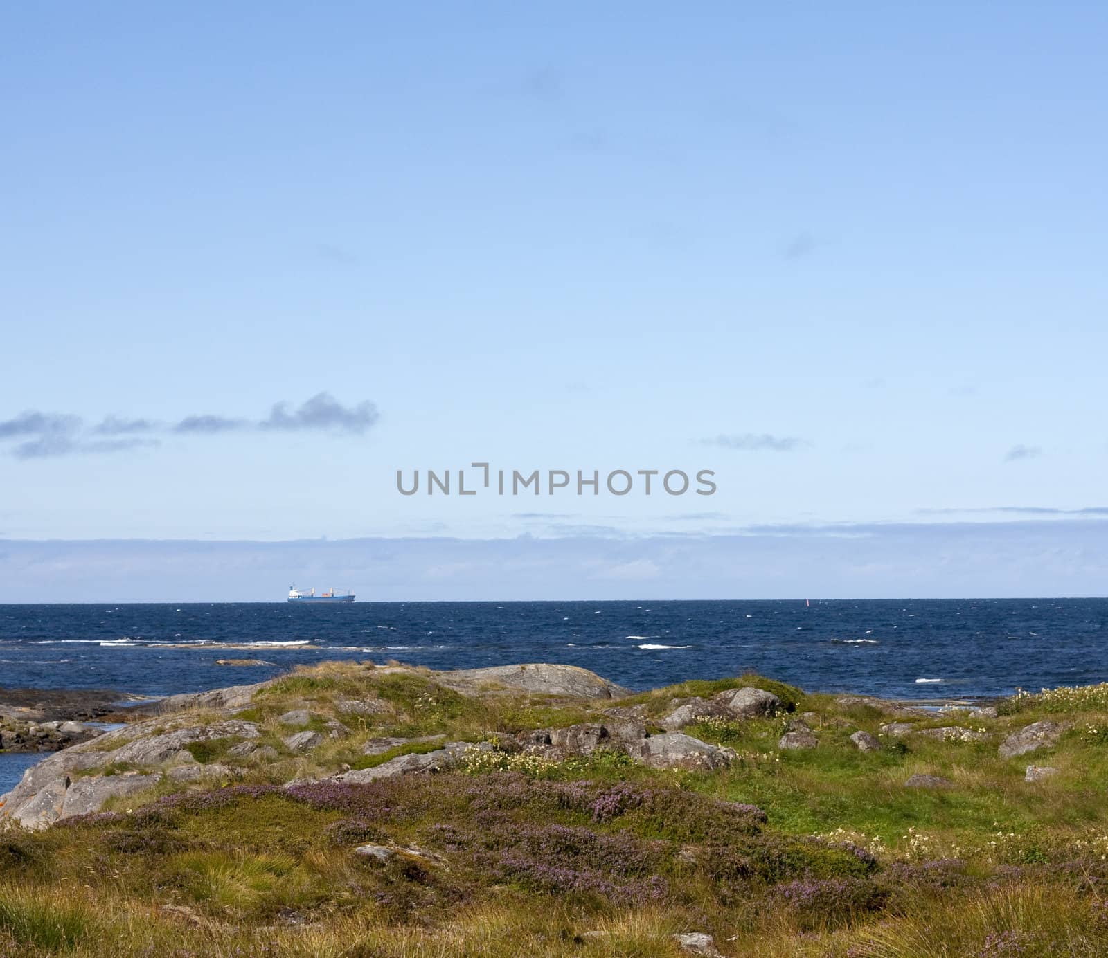 Coastal landscape with ship passing in the horizon