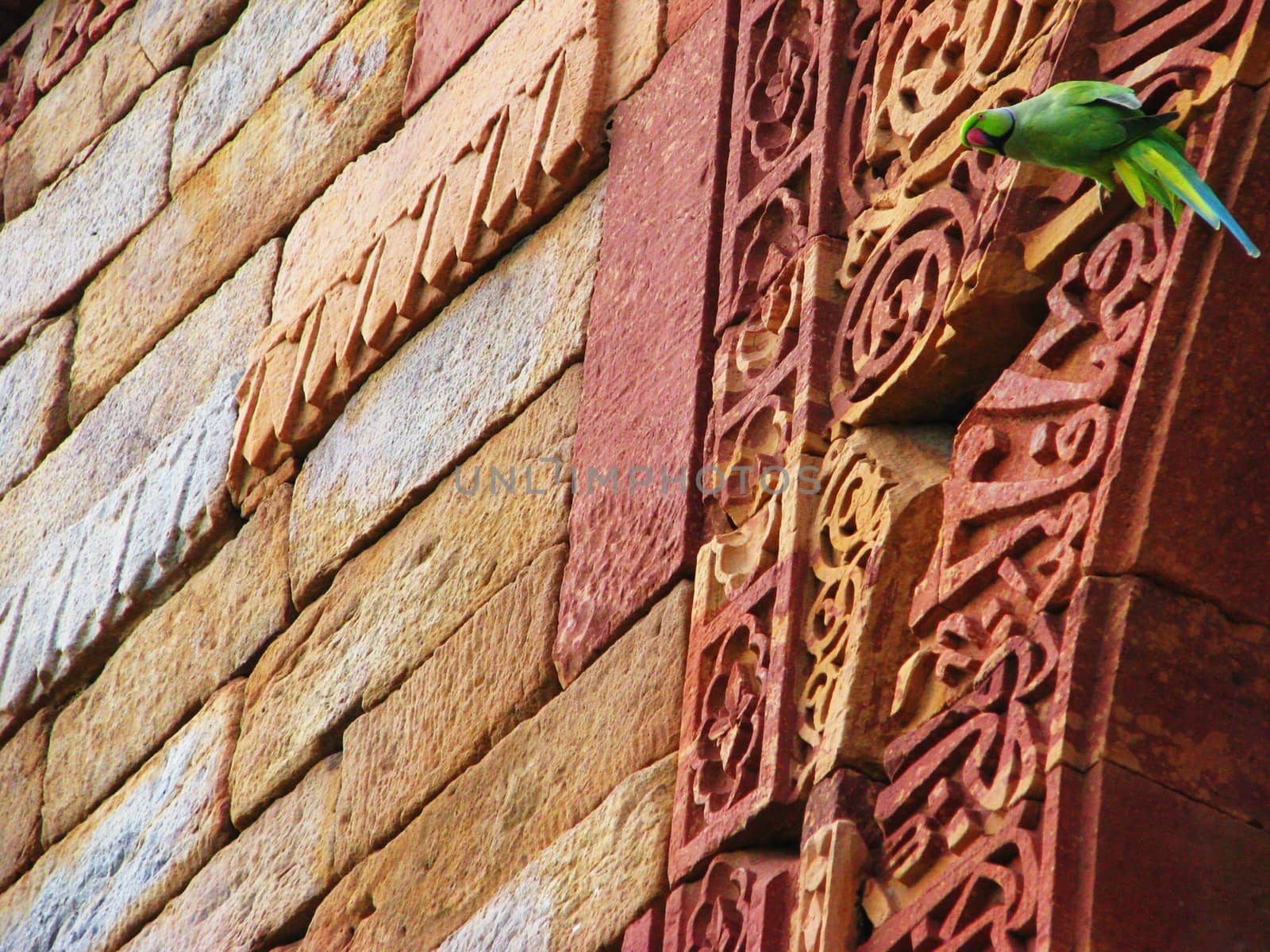 A parrot sitting on the carvings at Qutab Minar in New Delhi, India.