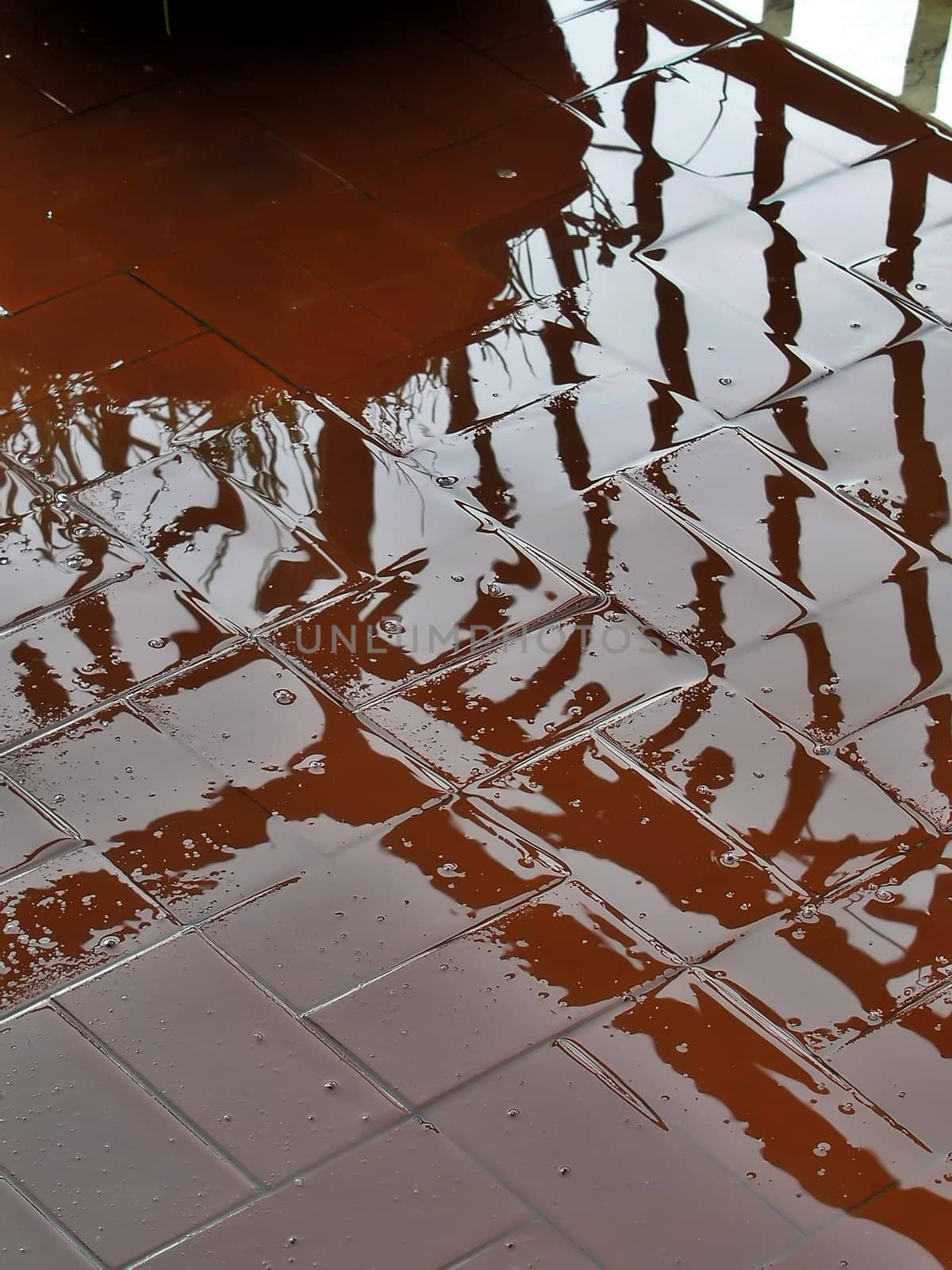 Reflection on pavement in the rain by sil