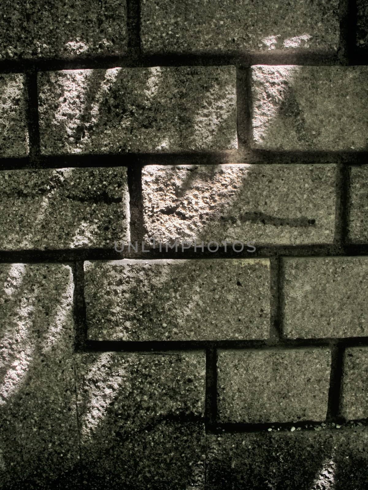 Brick wall with shadows