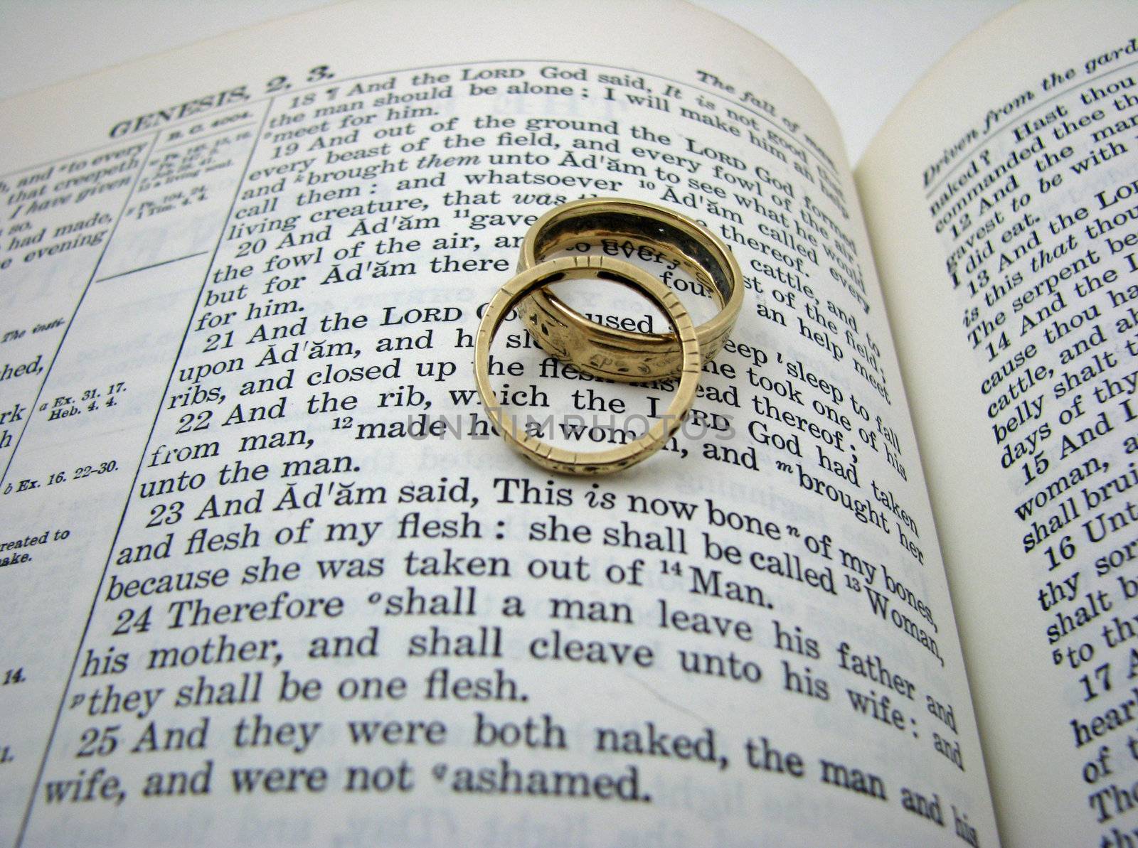 Wedding Rings and Bible by bellafotosolo
