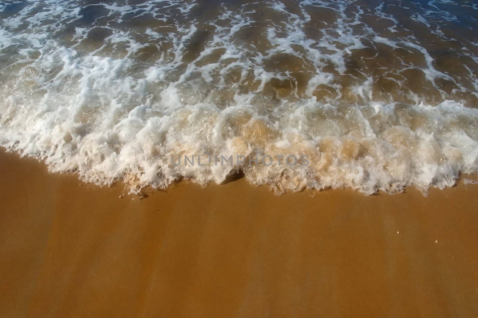 Sea froth on beach