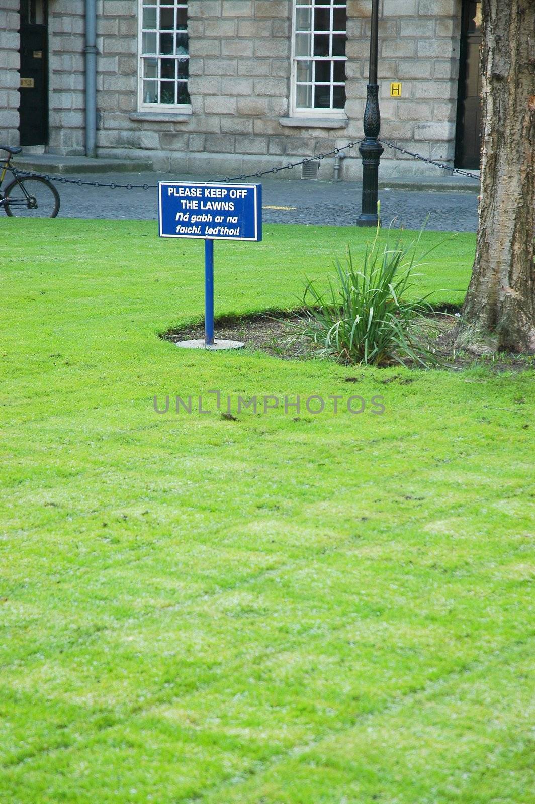 Trinity College, Dublin (TCD) corporately designated as the Provost, Fellows and Scholars of the College of the Holy, was founded in 1592 by Queen Elizabeth I[1] as the "mother of a university". Trinity and the University of Dublin form Ireland's oldest university.