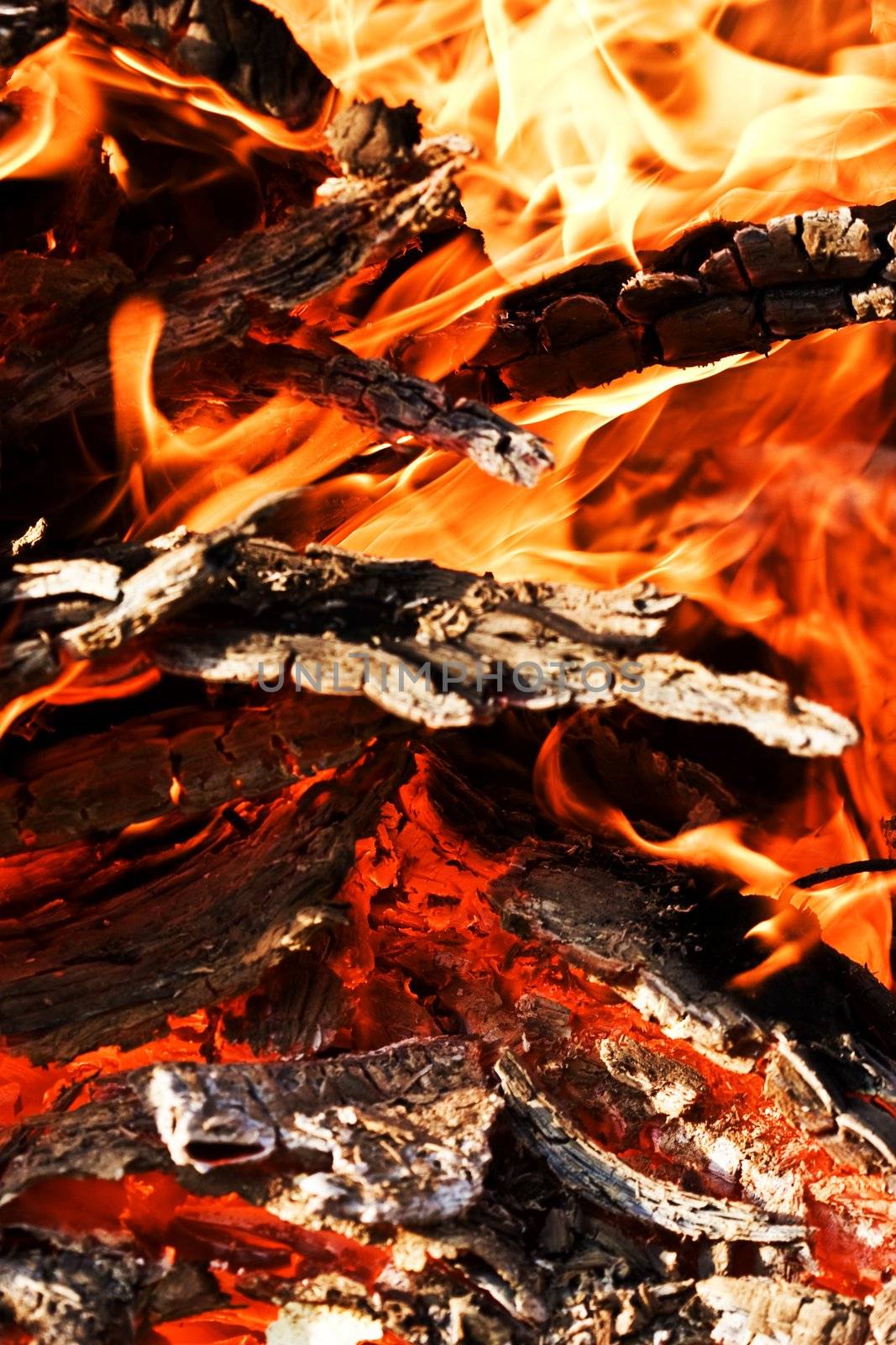 fire series: burning flame and firewood
