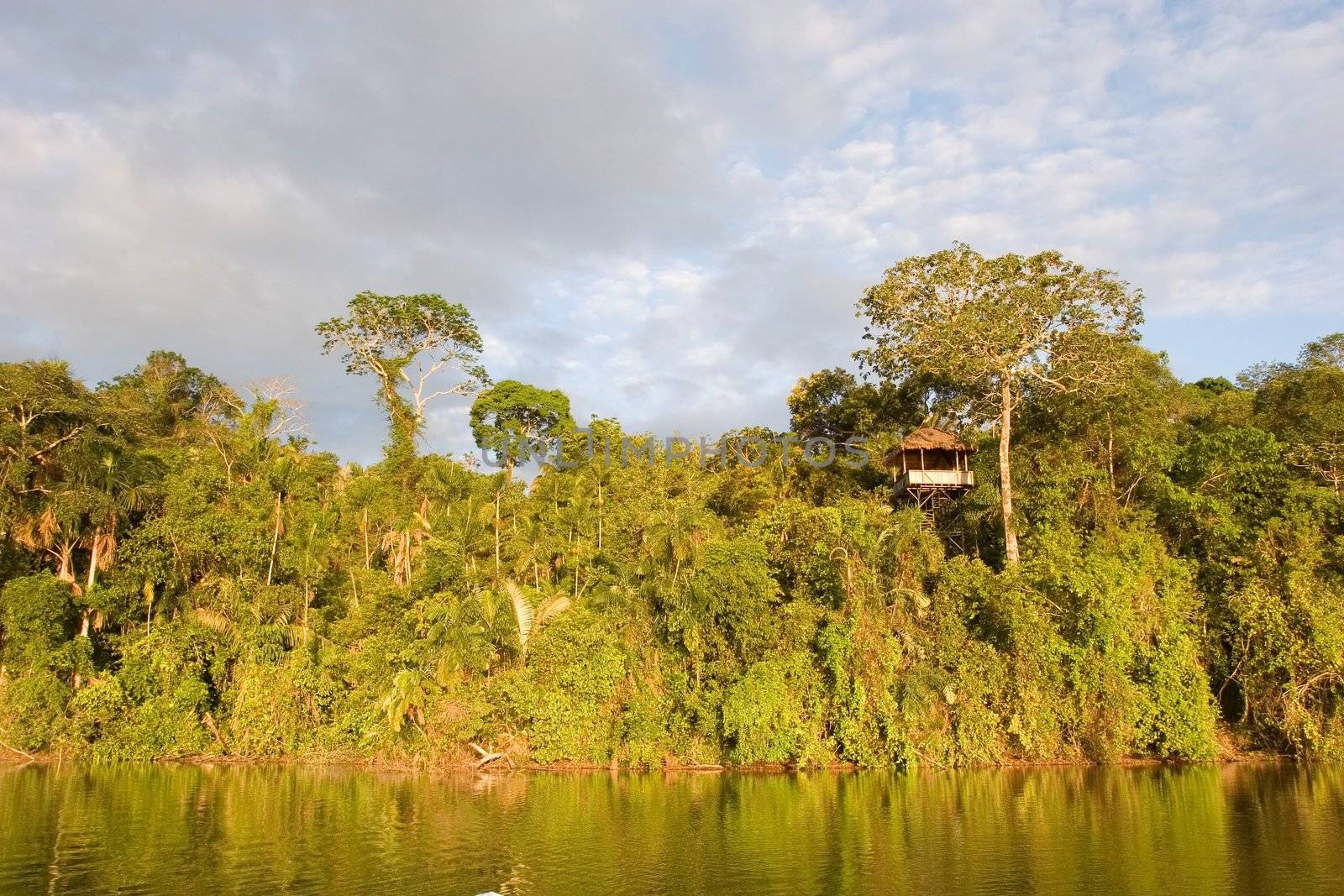 The main tourist attraction drawing tourists to Pt. Maldonado is Lake Sandoval and macaw's Claylick. This lake is famous for its family of Giant Otter which live in and around the area. There are only about 1000 Giant Otter left in the world, and 9 currently reside here.