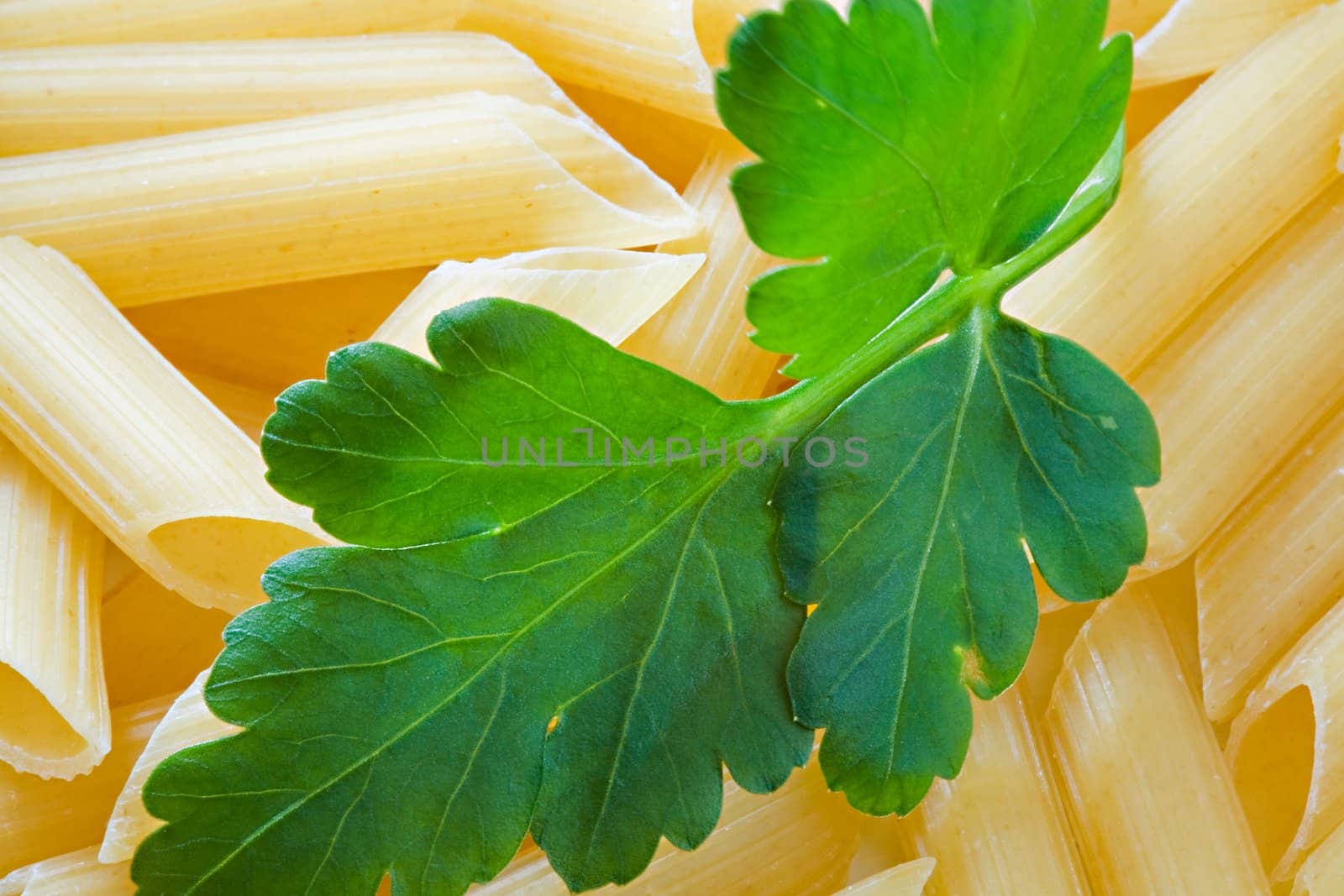 Macaroni with a leaf of parsley close up
