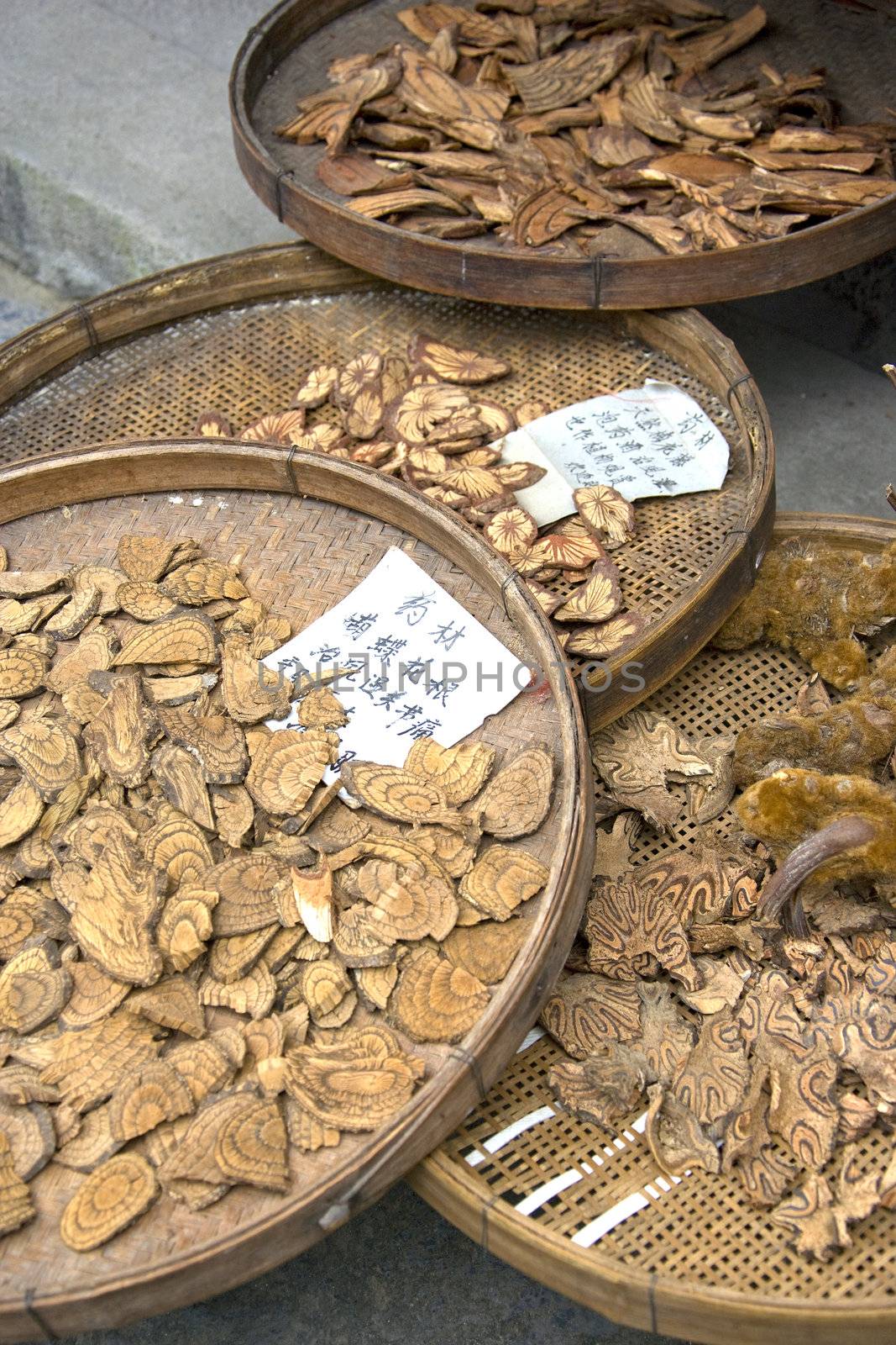 Image of tree barks being sun dried for traditional chinese medicine at the ancient town of Daxu, Guilin, China.