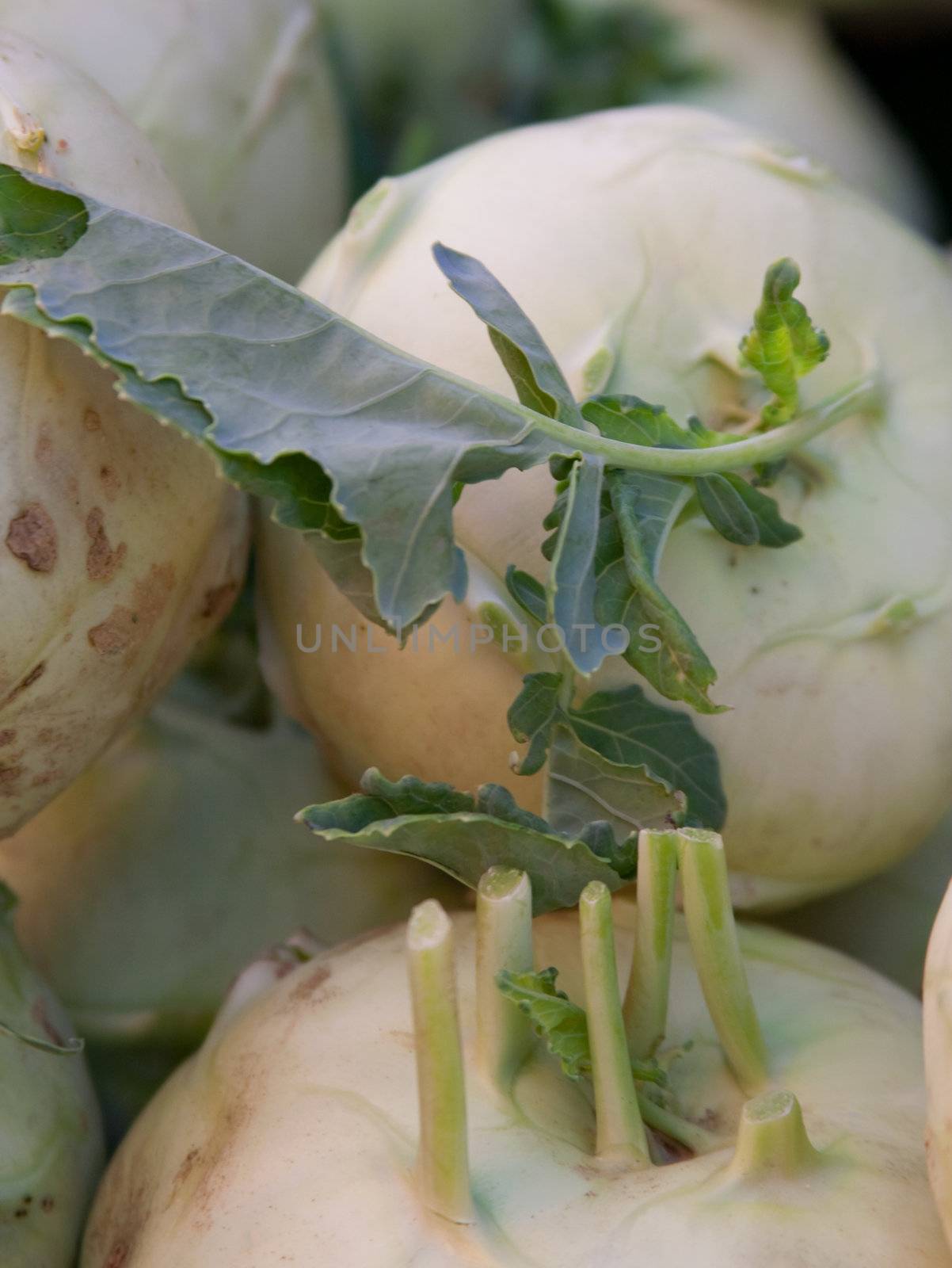 kohlrabi at the market the counter
����