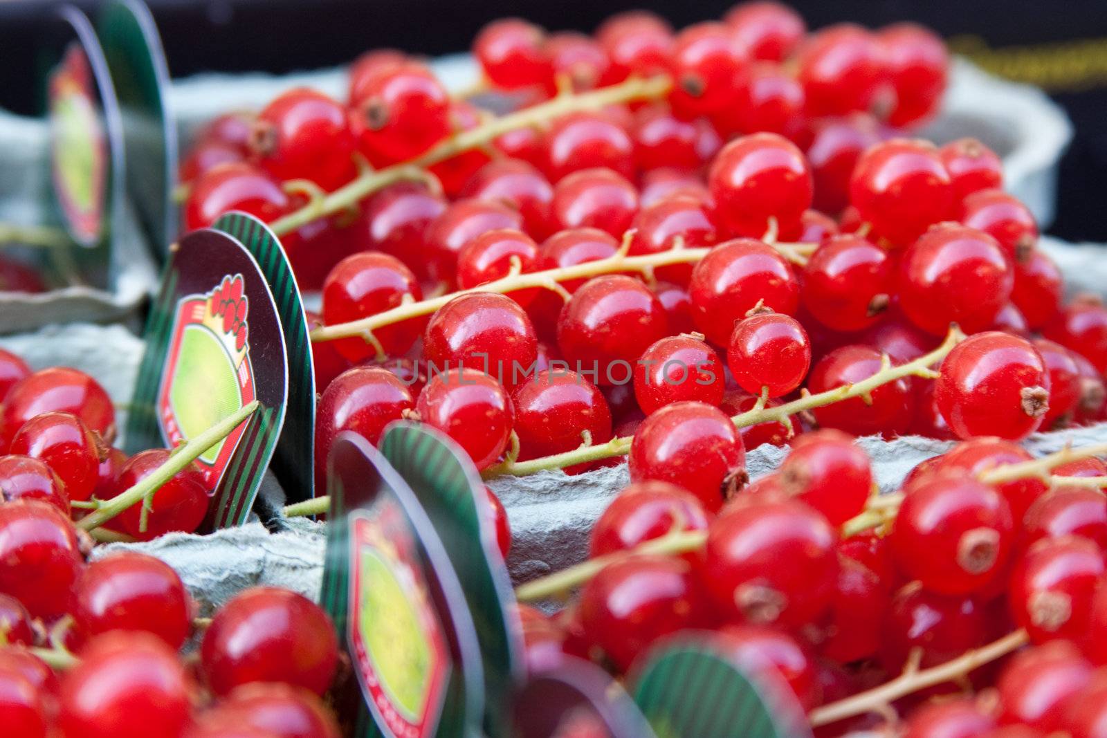 red currants at the counter market
����