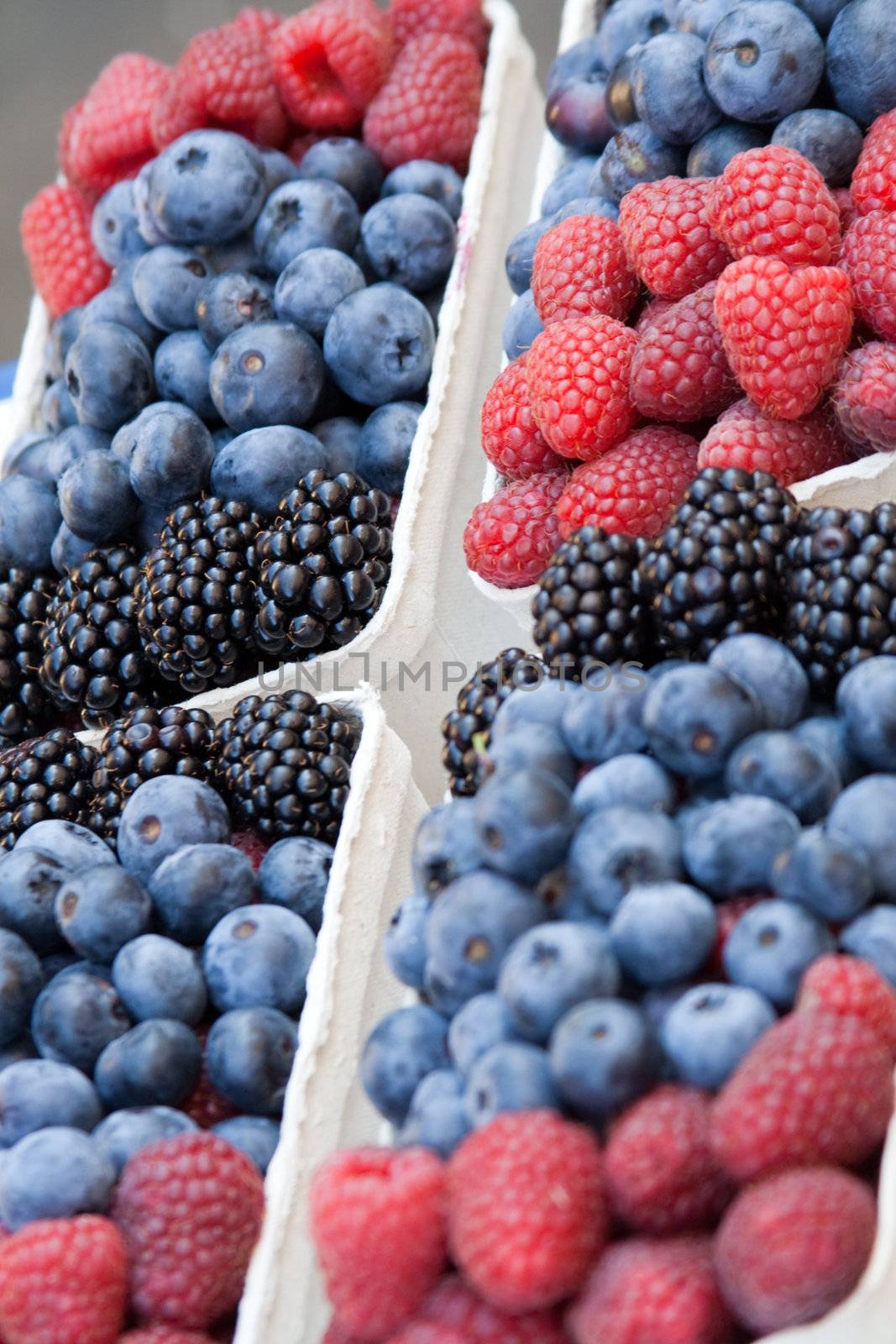 forest berries on the counter market