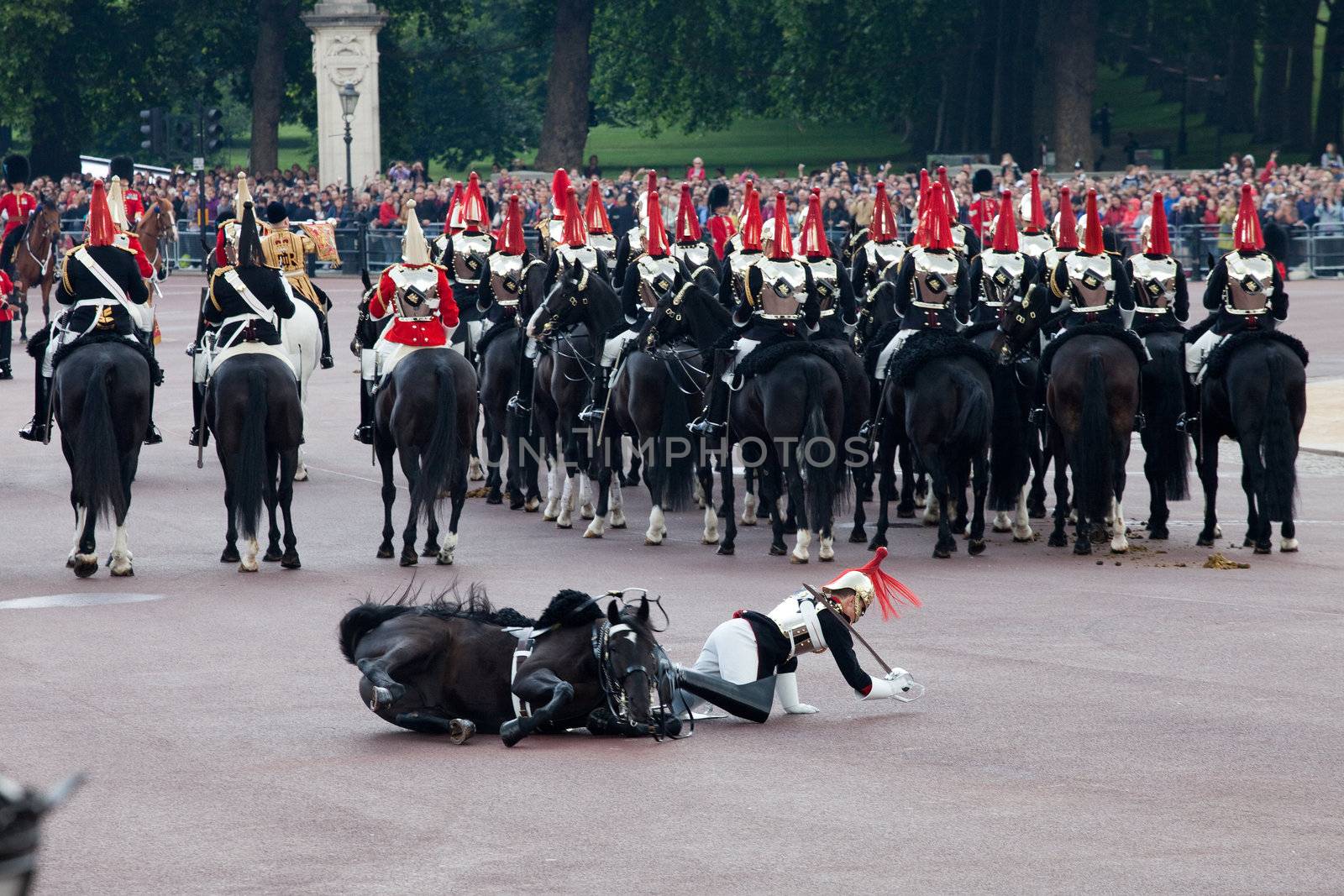 LONDON - JUNE 11: Royals horse Guard falls off horse at Trooping the Colour ceremony in London June 11, 2011. Ceremony is performed by regiments on the occasion of the Queen's Official Birthday