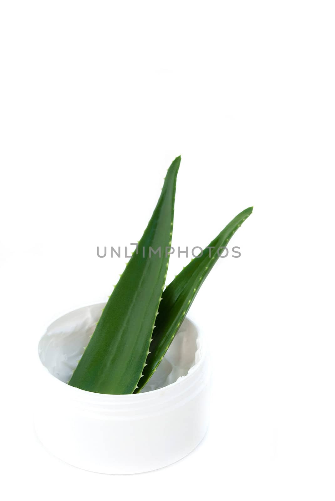 aloe vera leaves and cream by Dessie_bg