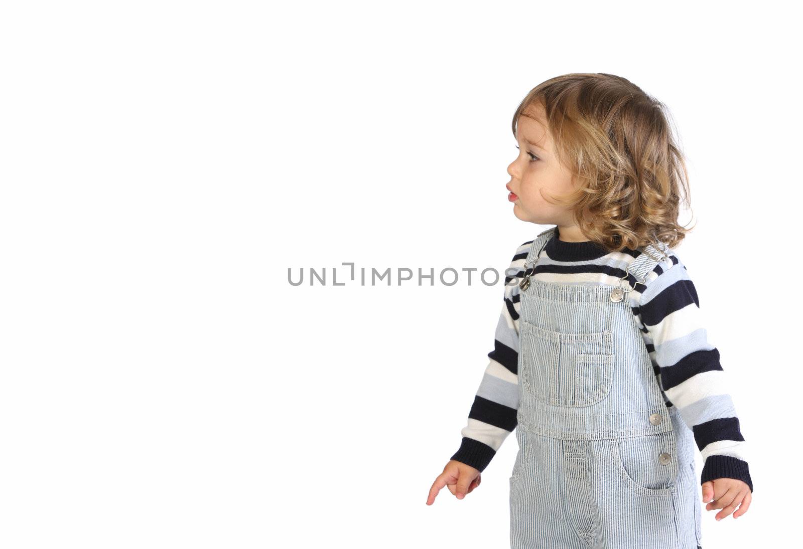 beauty a little girl on white background