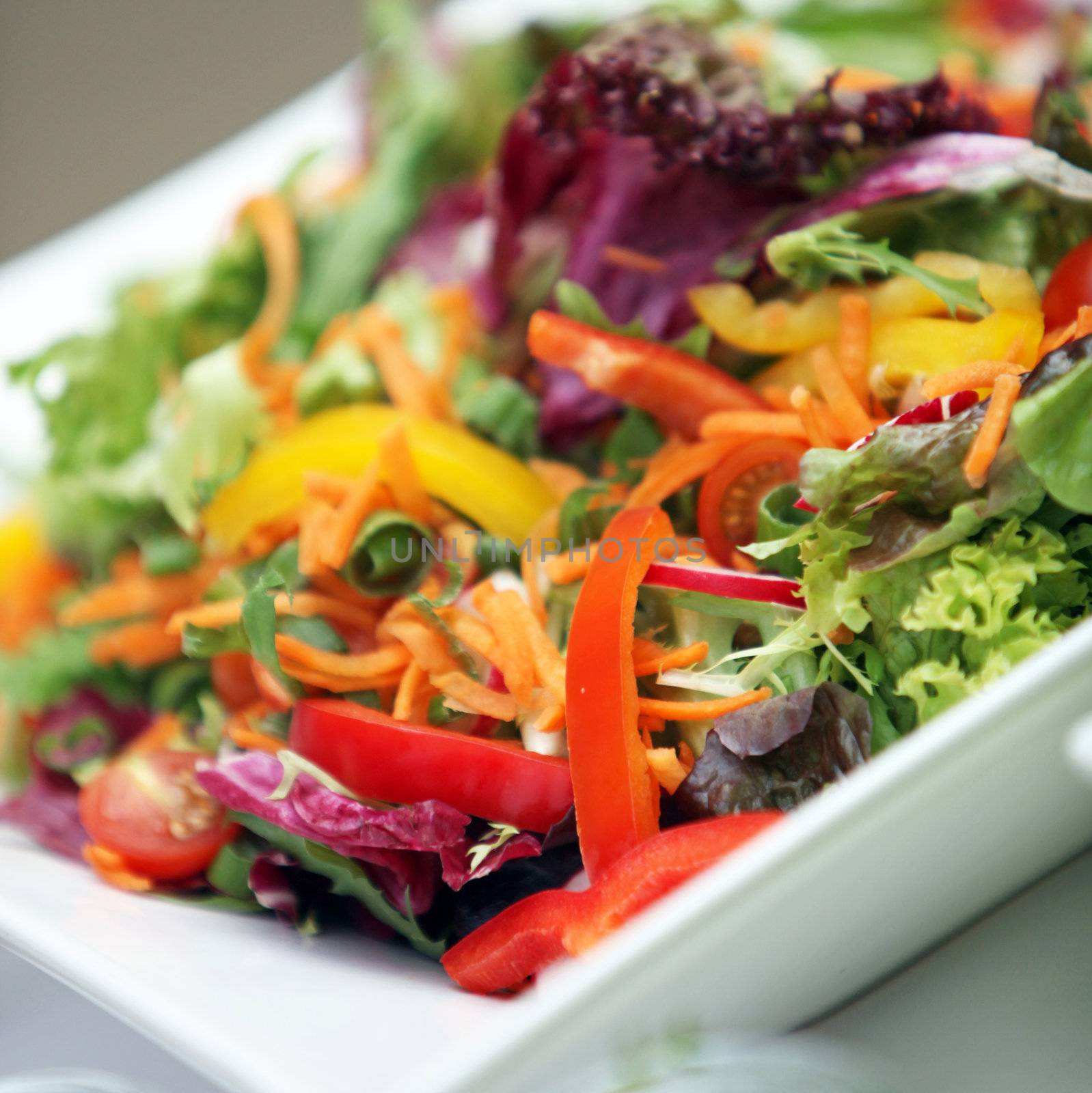 Mixed fresh salad of various vegetables - close up - square