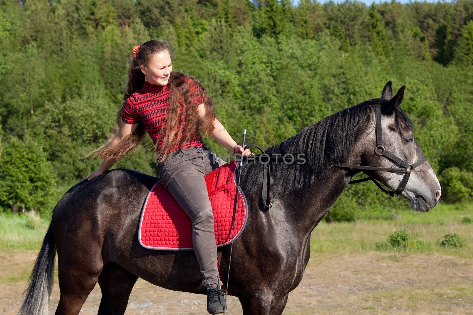 Beautiful girl patting a horse on the rump