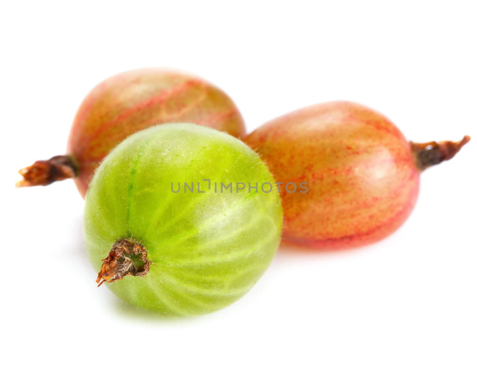 Gooseberries isolated on white background