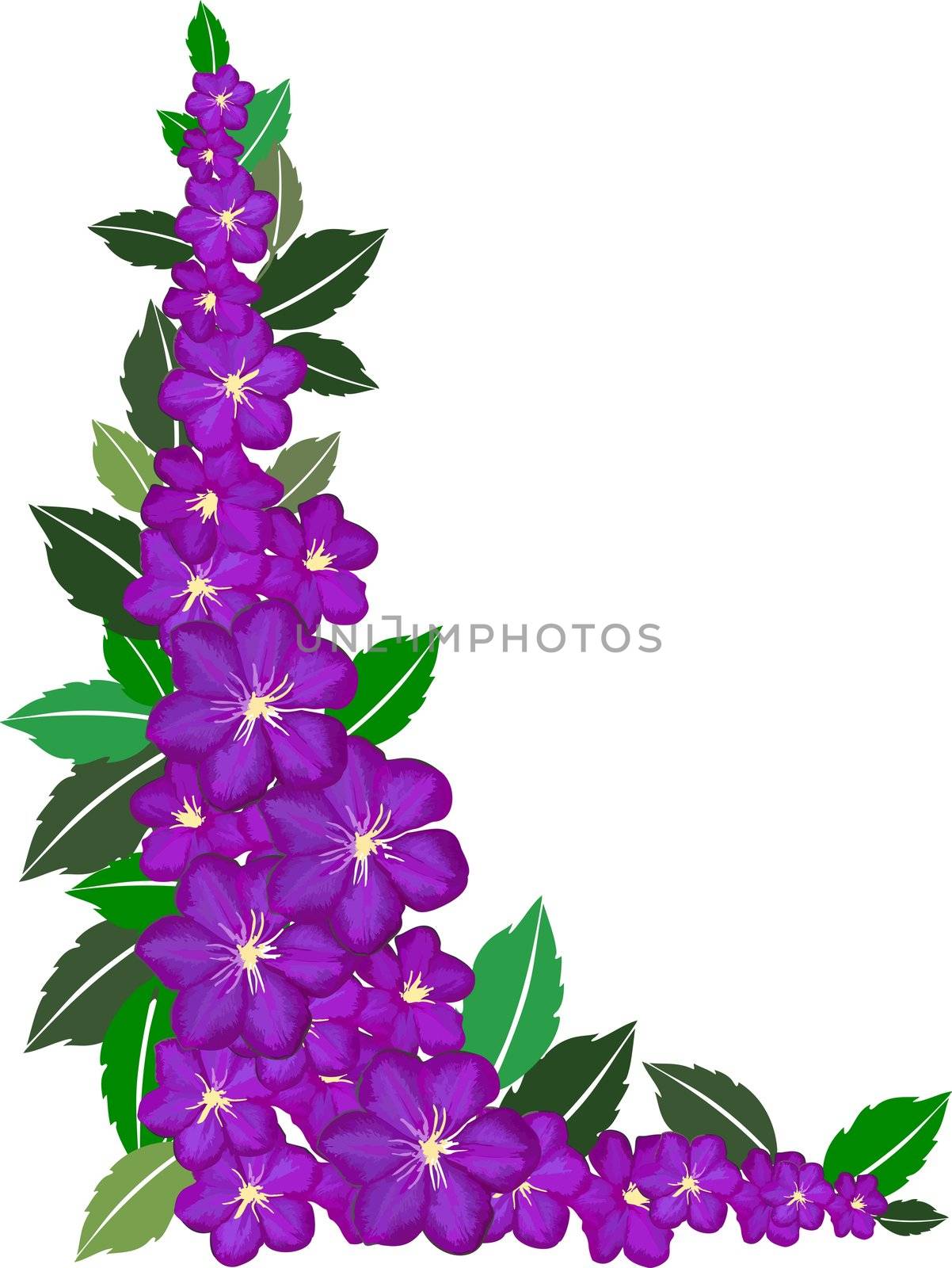 illustration of a flower frame on white background