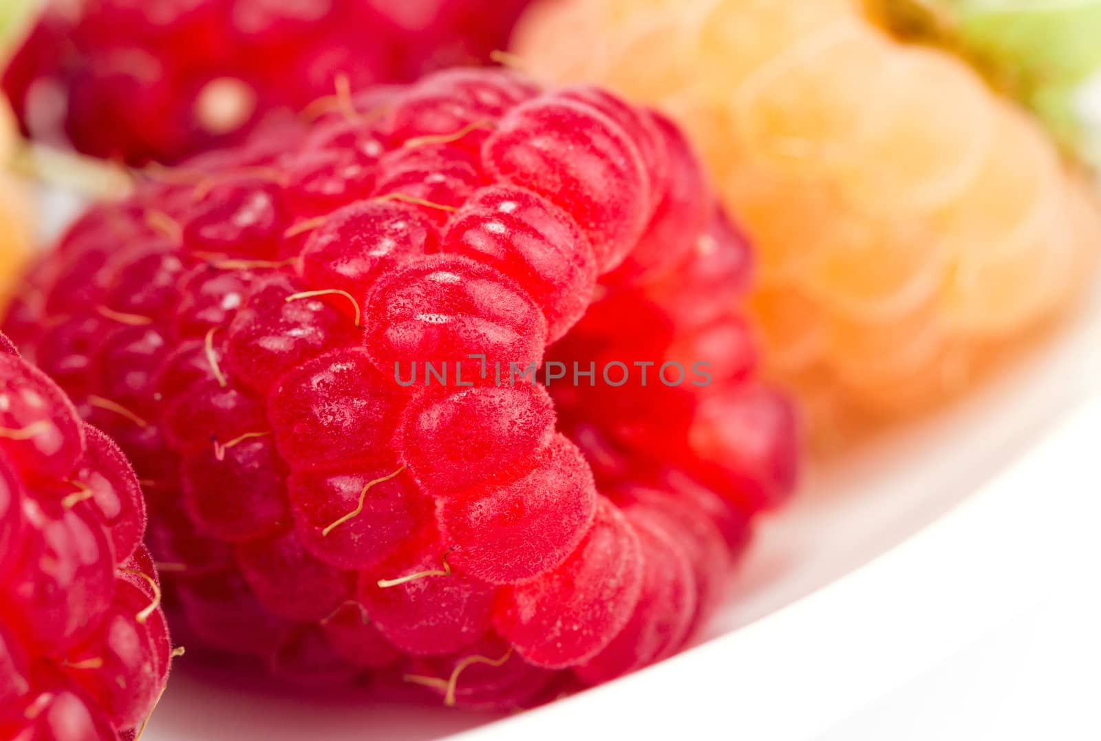 plateful of fresh raspberries on white by Bedolaga