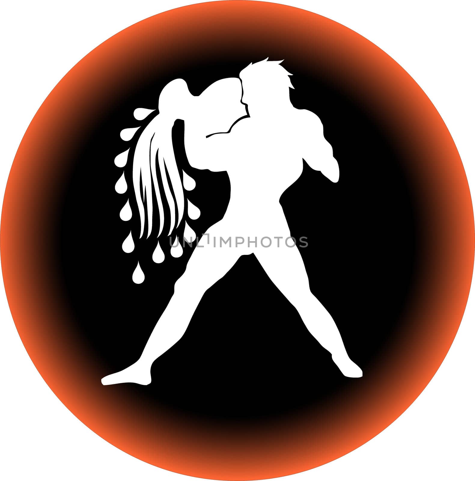 a illustration of a zodiac button aquarius