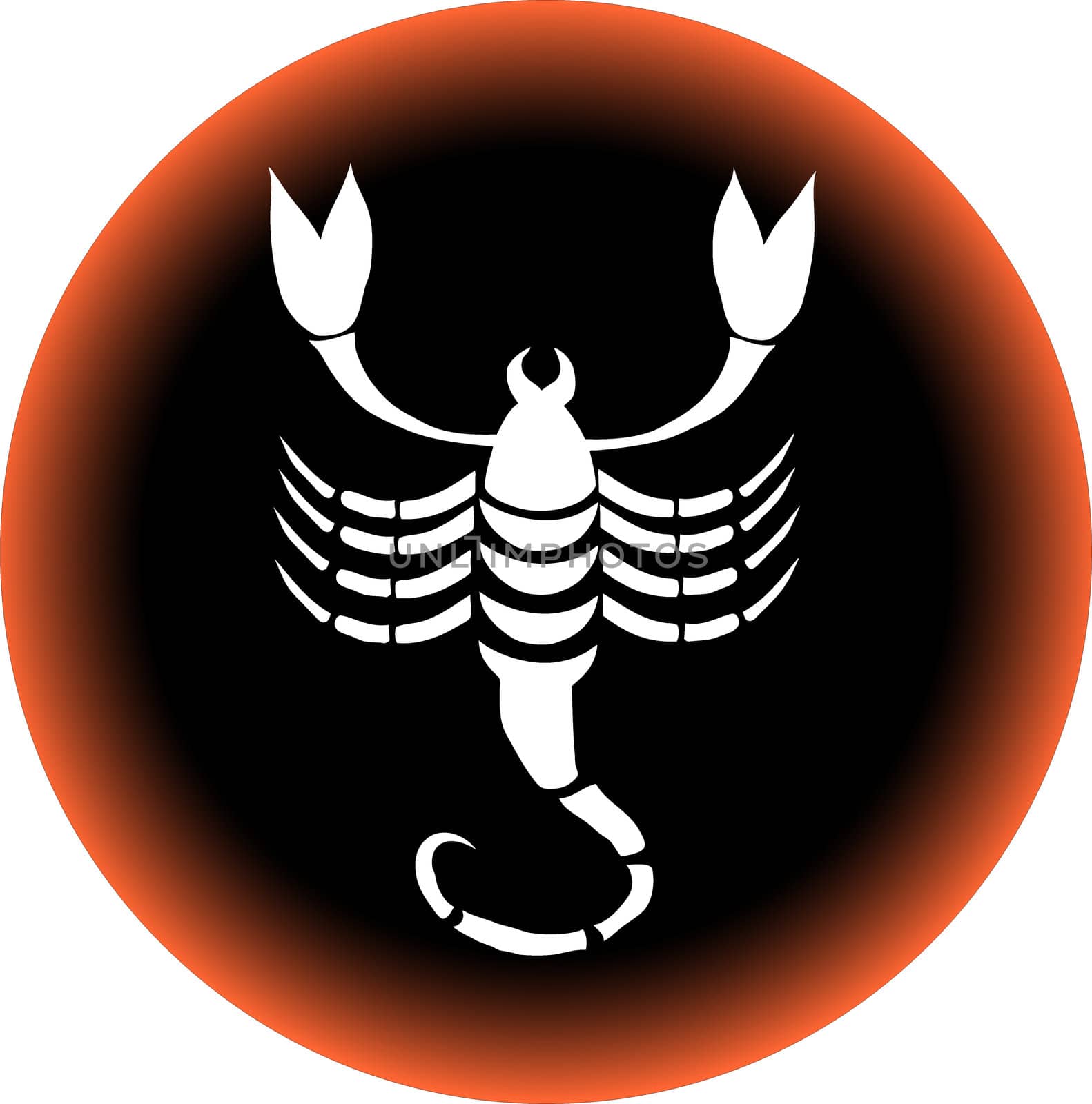 a illustration of a zodiac button scorpio