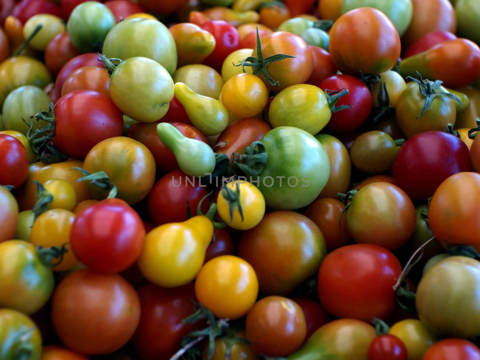 Mixed color tomatoes.