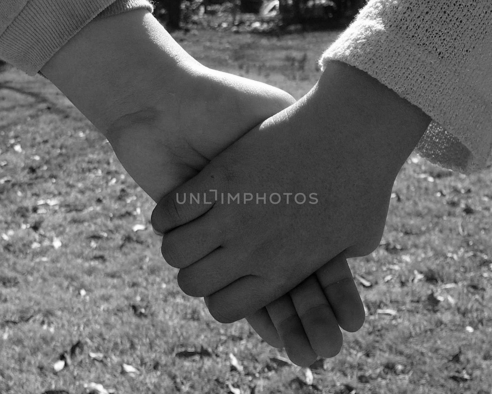 Close-up of children holding hands