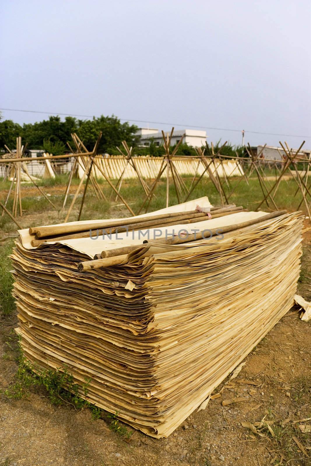 Image of drying tree barks for traditional Chinese paper making at Guilin, China.