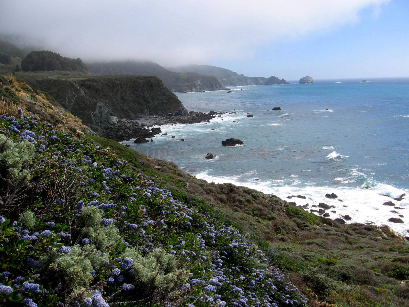 Foggy spring morning at Jade Cove, Pazific coast, California, USA.