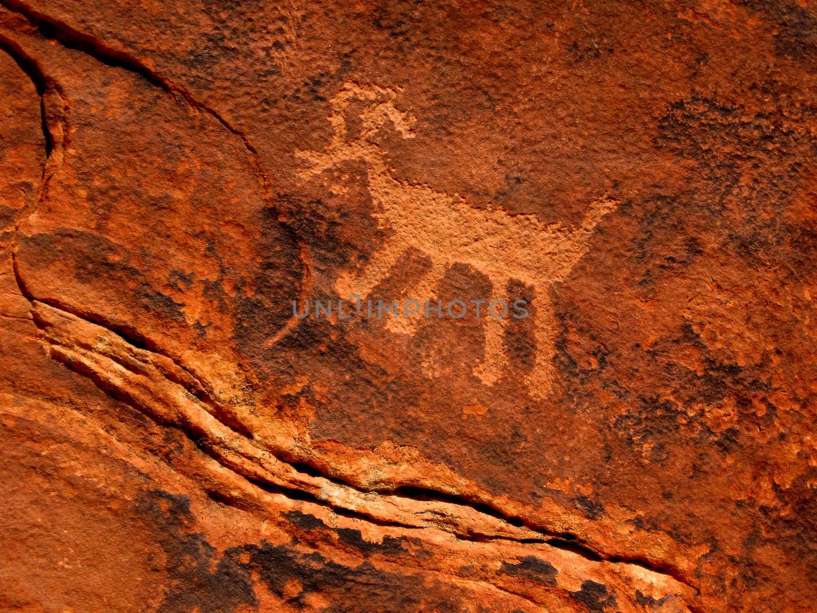 Historic Anasazi petroglyph depicting an animal in Step Canyon, Utah, USA.