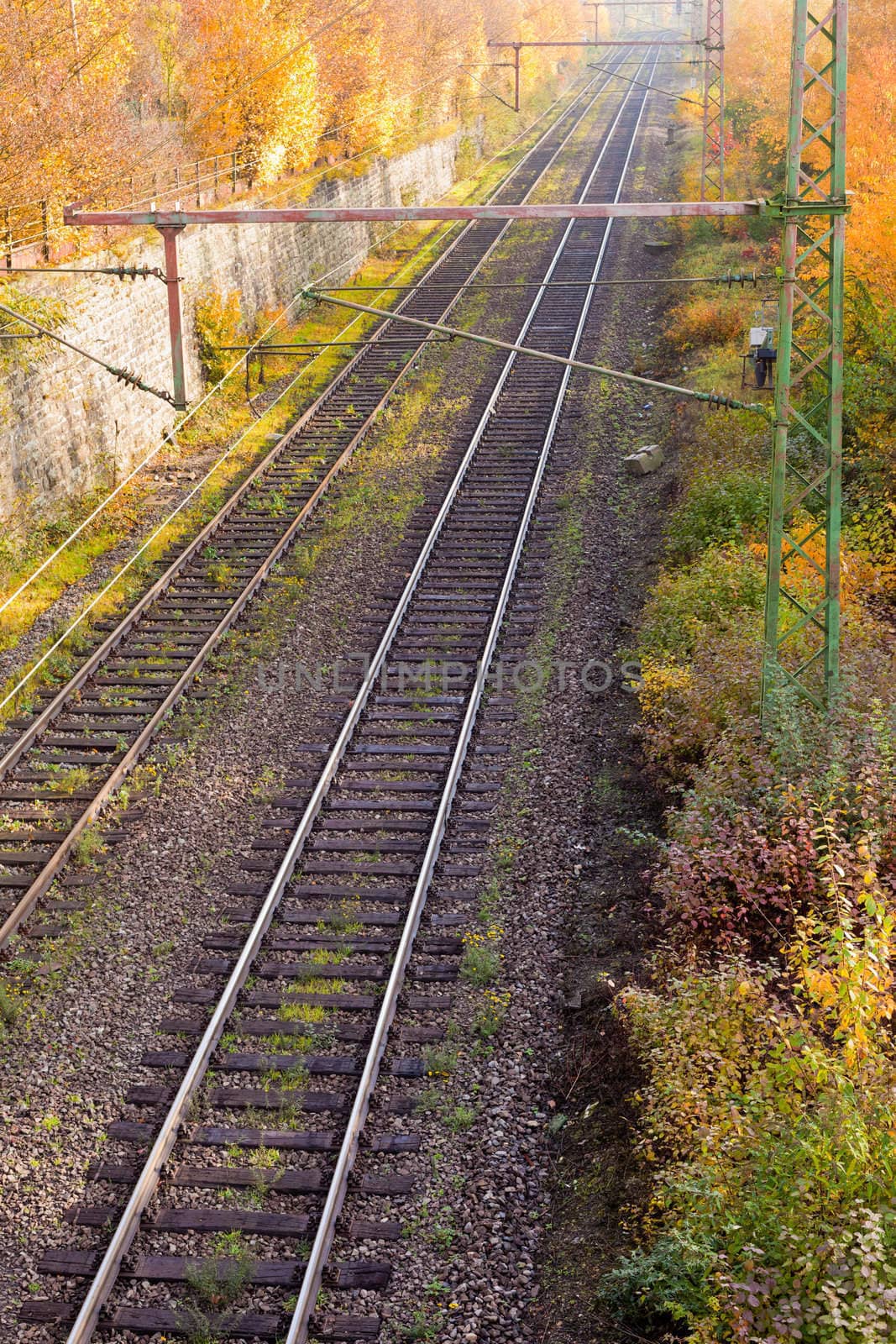 Electrified railway embankment in fall.
