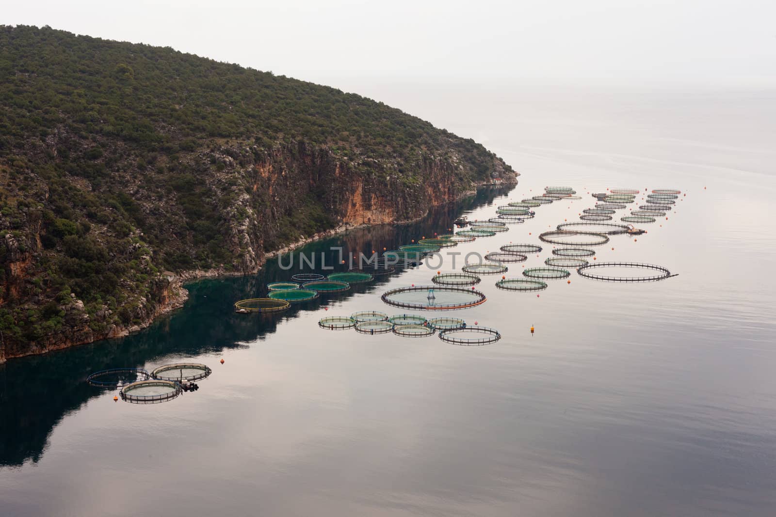 Aquaculture in calm bay offshore Peleponnes island, Greece, Europe.
