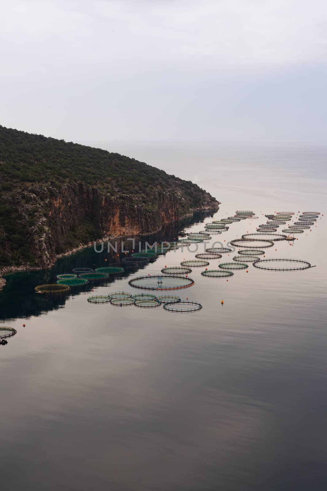 Aquaculture in calm bay offshore Peleponnes island, Greece, Europe.
