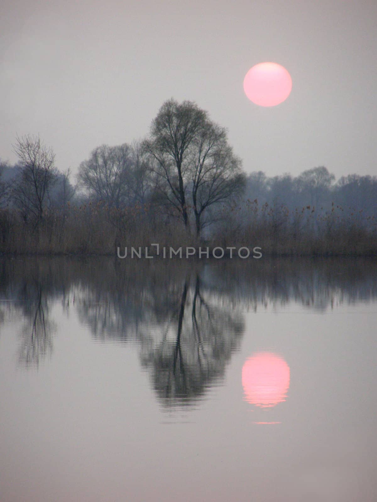 The reflection of sunset 1 by Clarushka