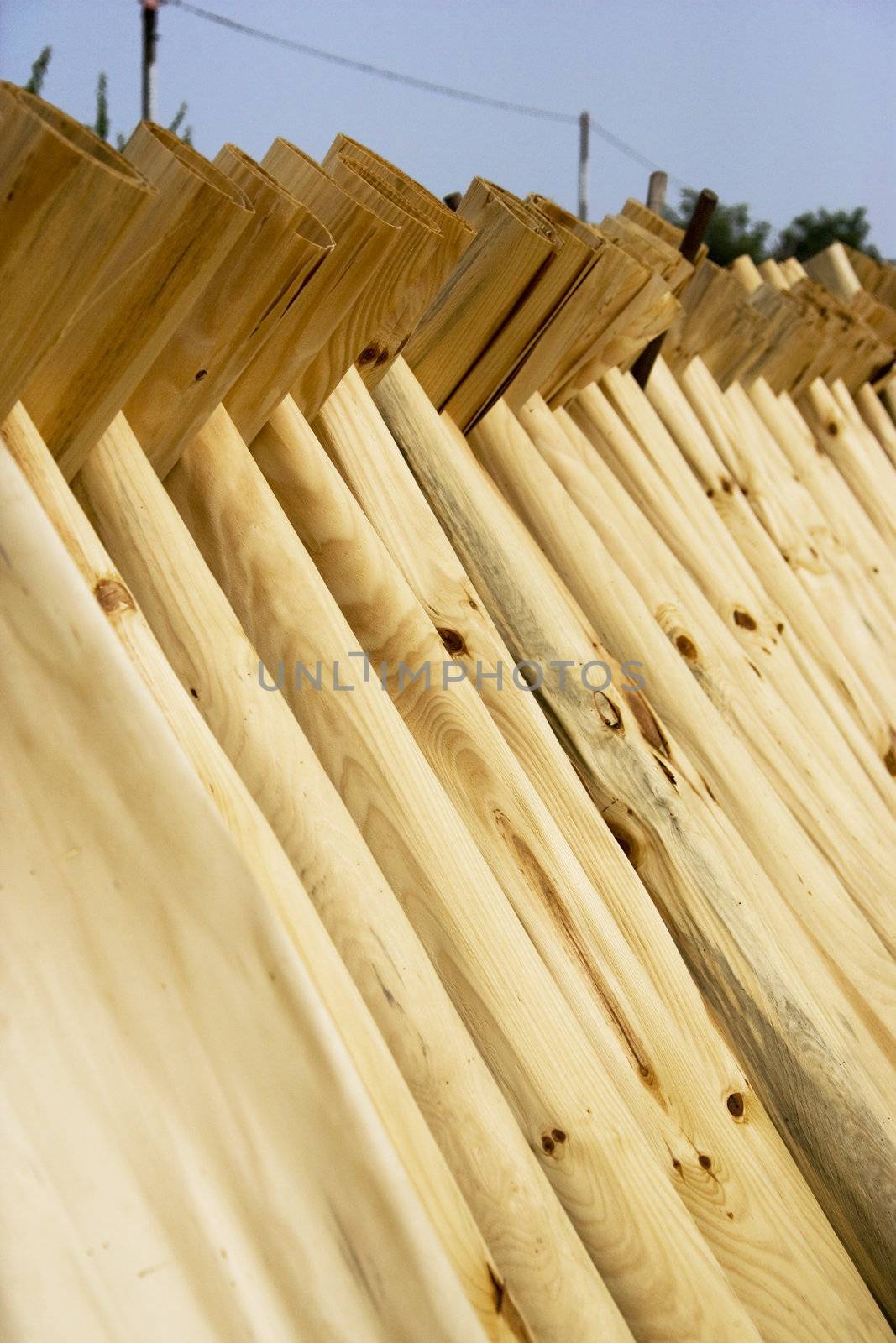 Drying Barks for Traditional Paper Making by shariffc