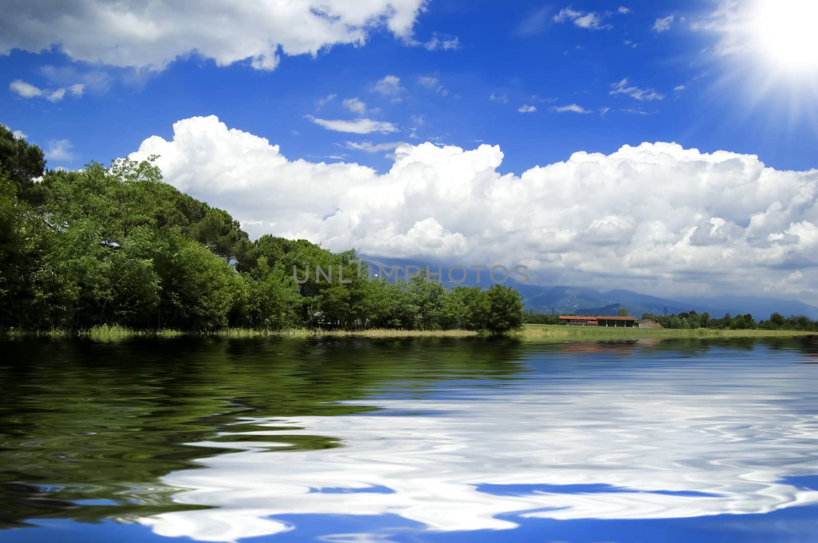 A scene of a lake and tree under a cloud blue sky