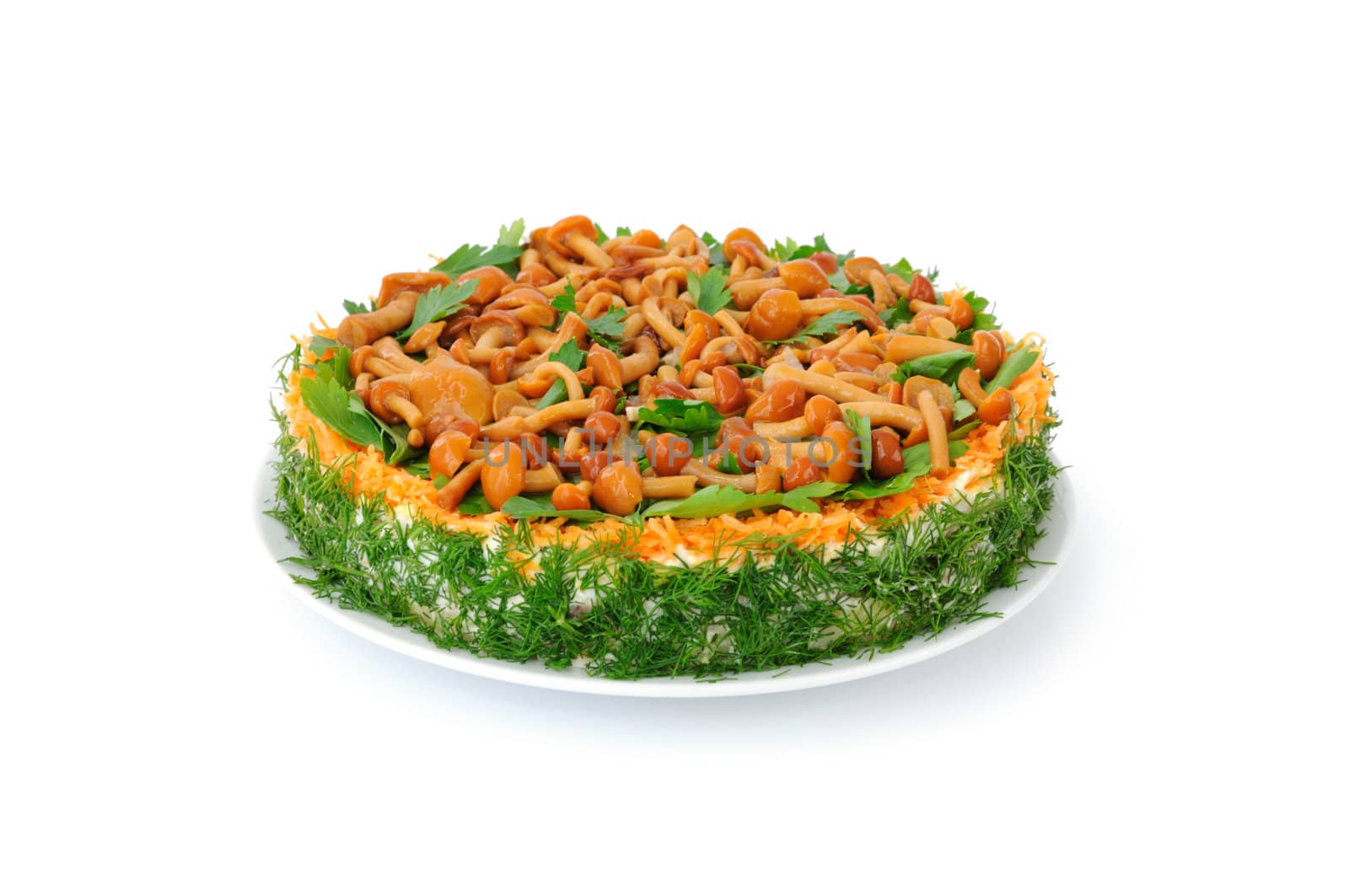 Vegetable cake layers: potatoes, chicken, eggs, carrots, mayonnaise with herbs and mushrooms