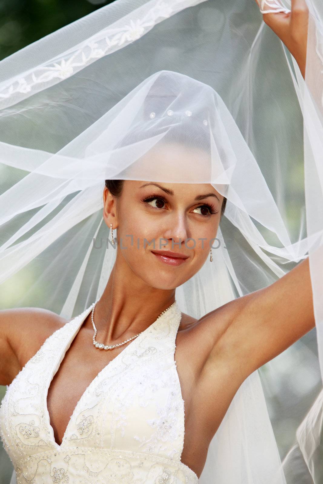 Portrait of the beautiful bride in a veil