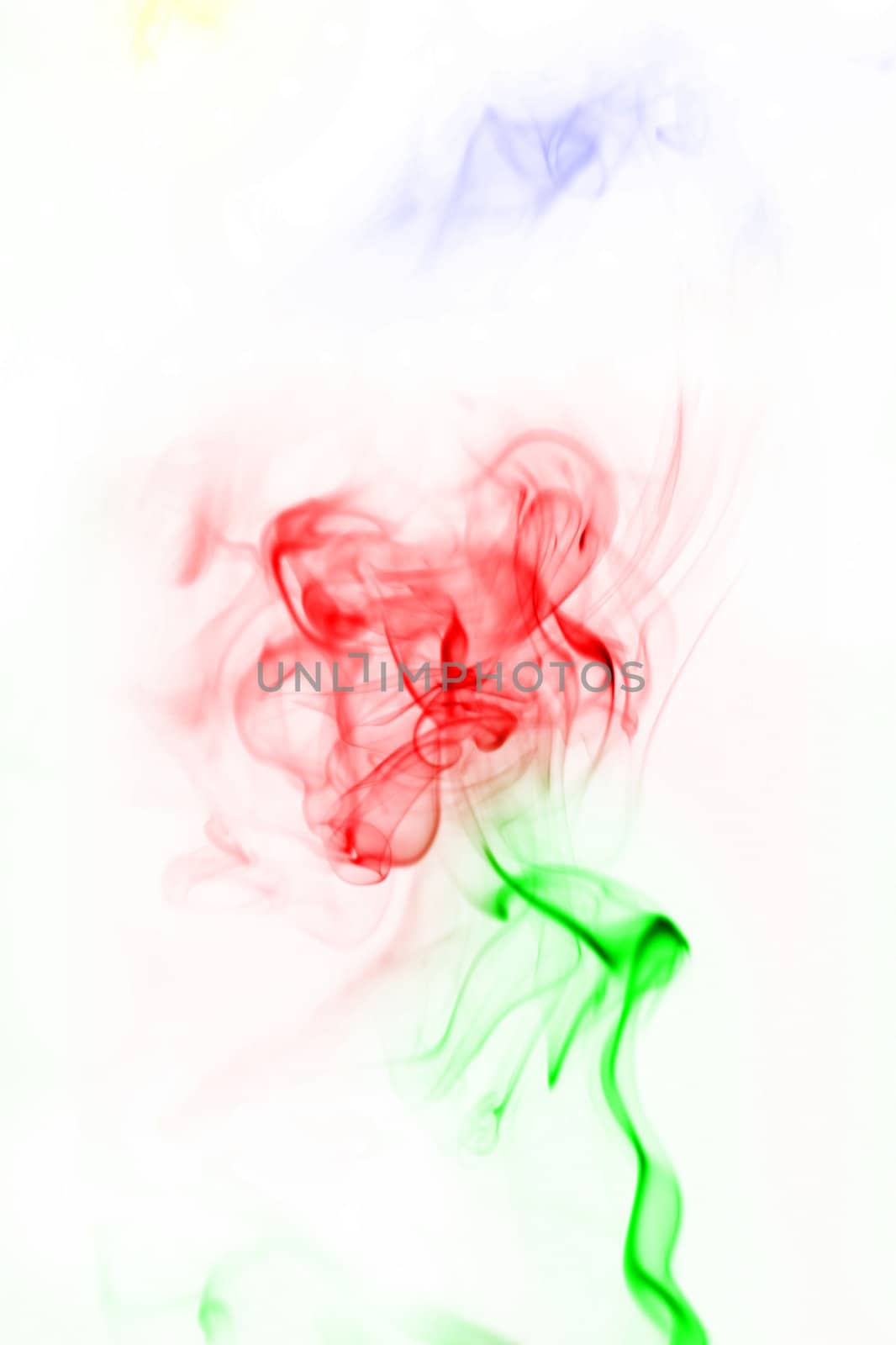 smoke flower on white