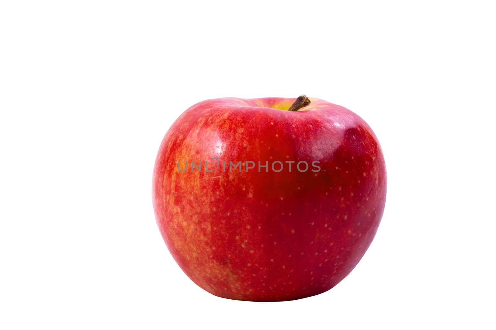 Red apple isolated on white background(clipping path included)