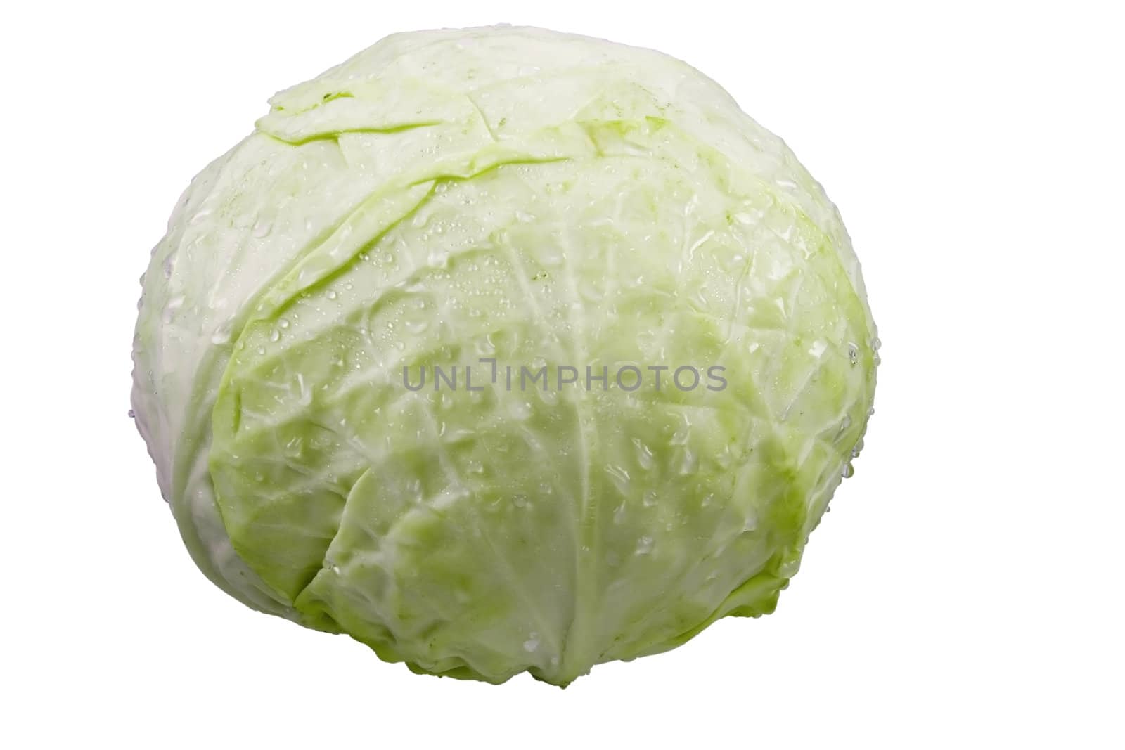 cabbage isolated on white background