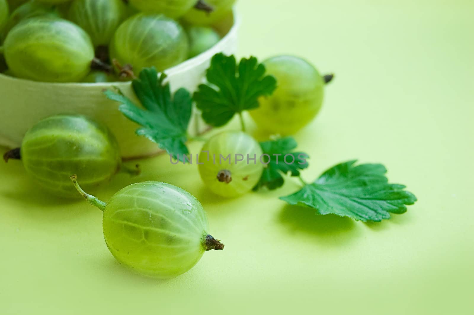 Gooseberries with leaves by Angel_a